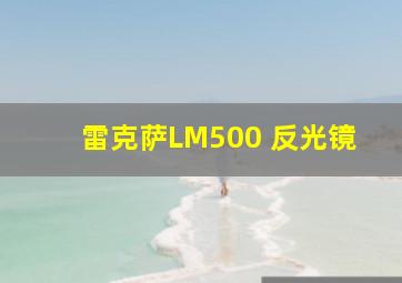 雷克萨LM500 反光镜